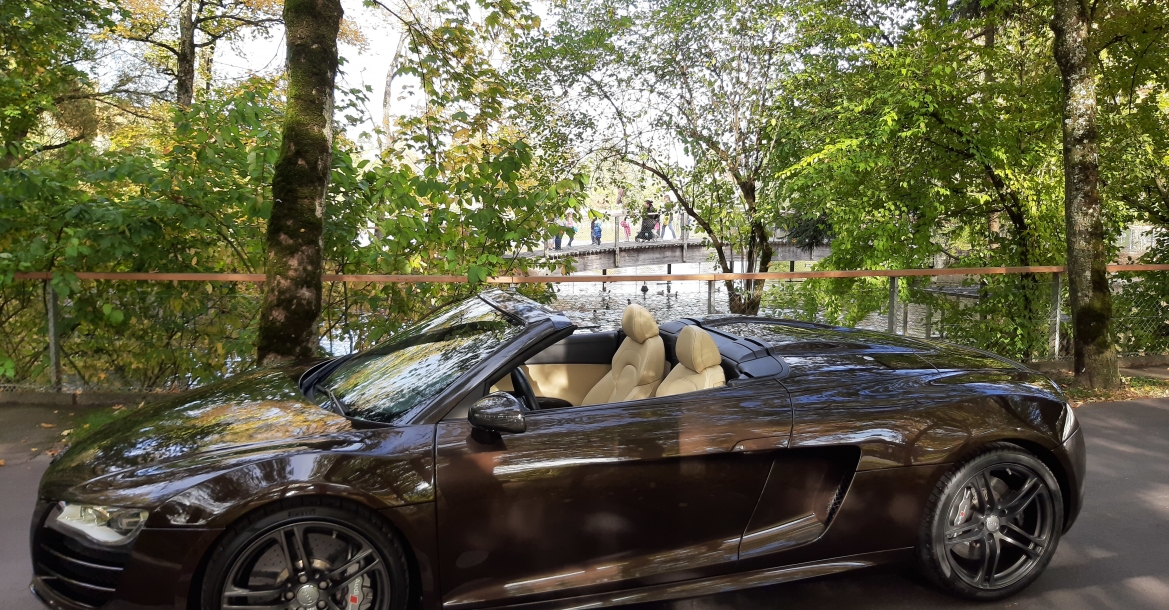 Audi R8 nei colori dell'autunno
